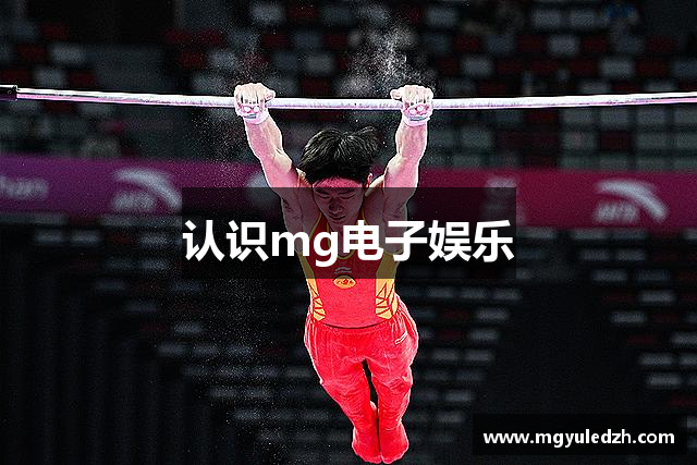 认识mg电子娱乐